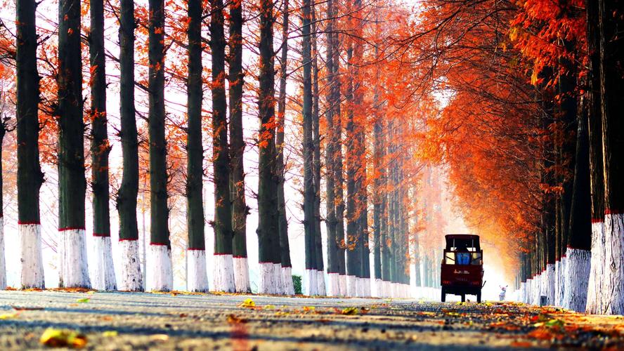 周子县尚九路信息