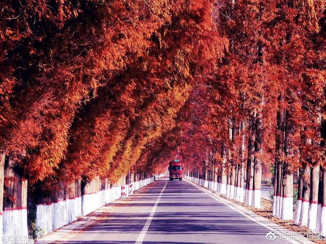 周子县尚九路信息