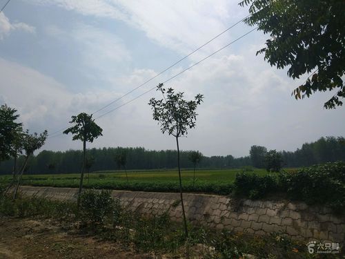 霍邱县彭塔乡信息