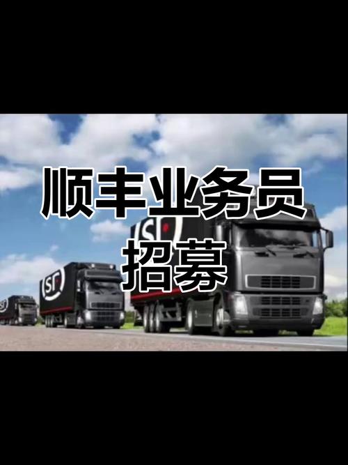 英州顺丰招聘信息