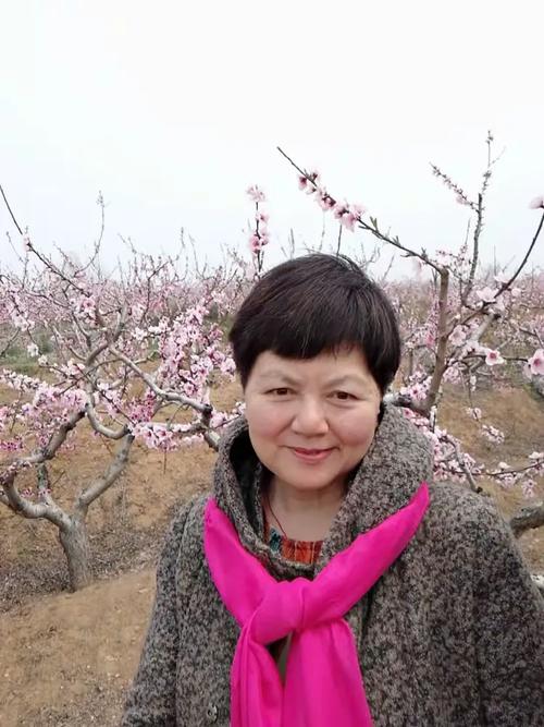 胶南王台求职信息