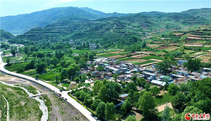 武山县高楼乡信息