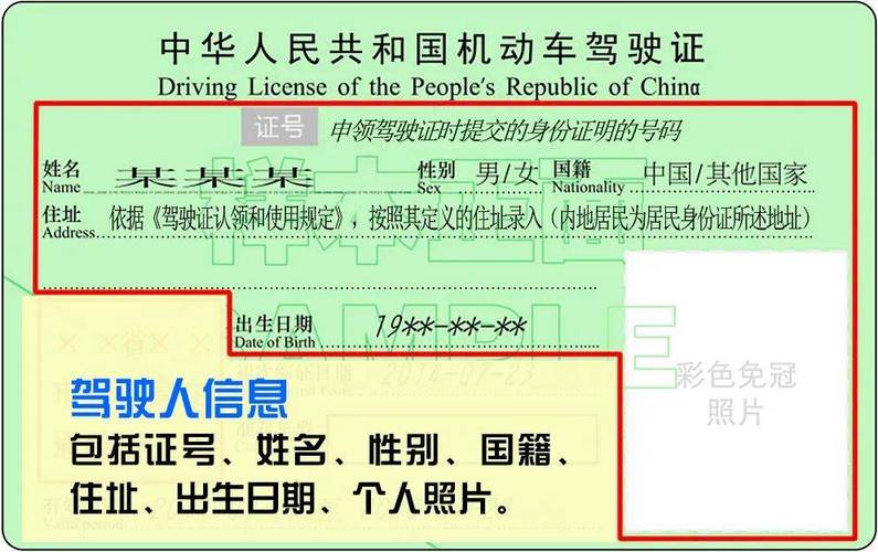 北京查驾驶证信息