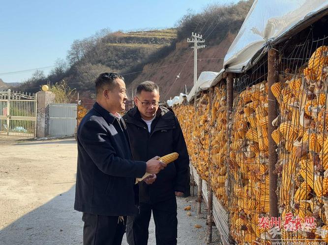 秦州区藉口镇信息