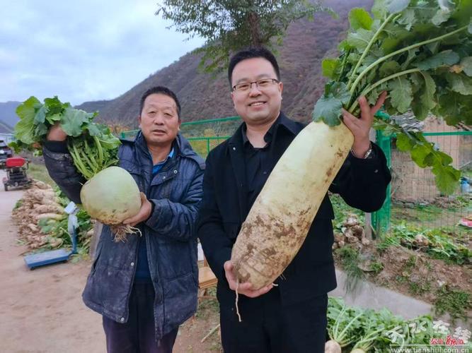 秦州区藉口镇信息