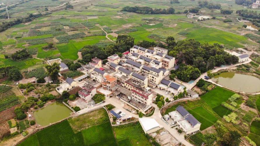 台山白沙镇信息网