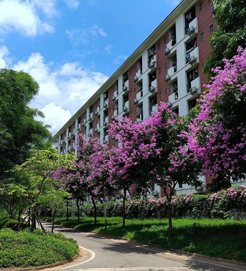 广州东圃信息学院