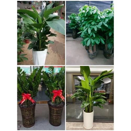 忻州五寨便民信息