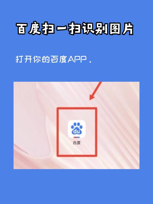 查找百度信息查询