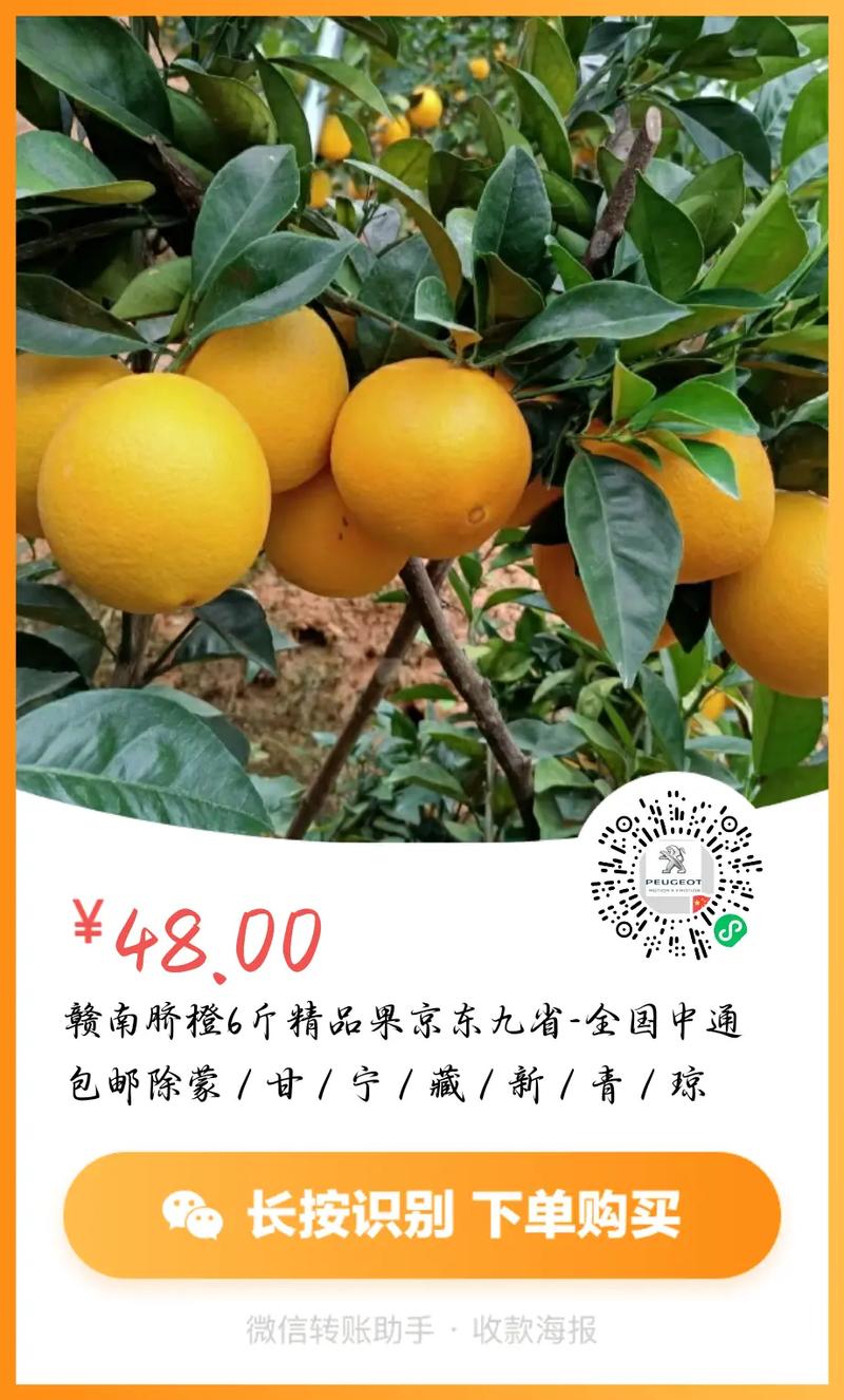 中通快递运费怎么算的