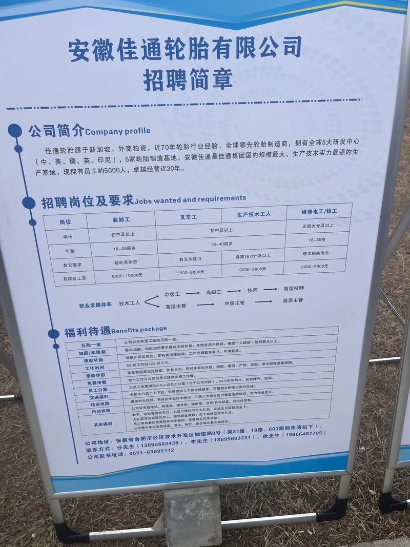 塘厦速尔招聘信息