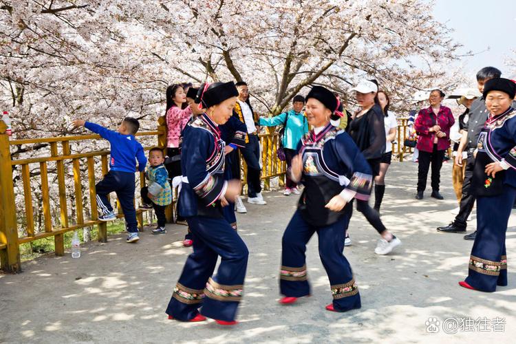 黄腊乡黑土寨信息
