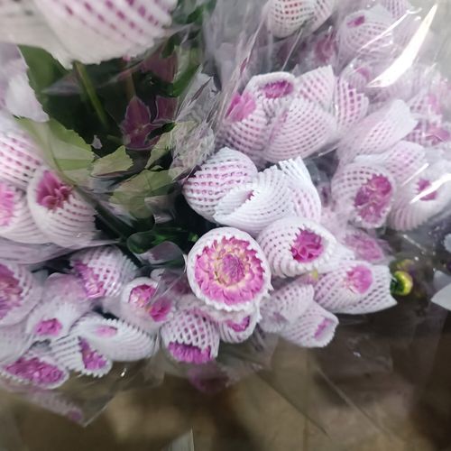 哈尔滨同城快递多少钱