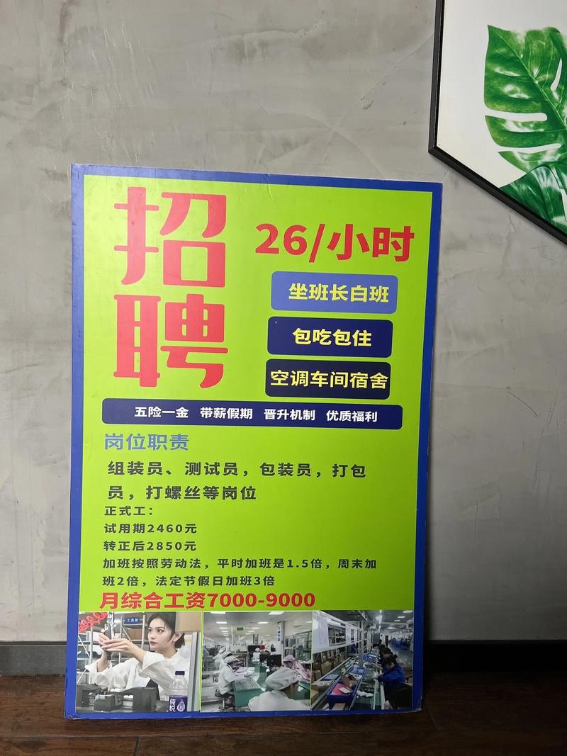 泰顺十足招工信息