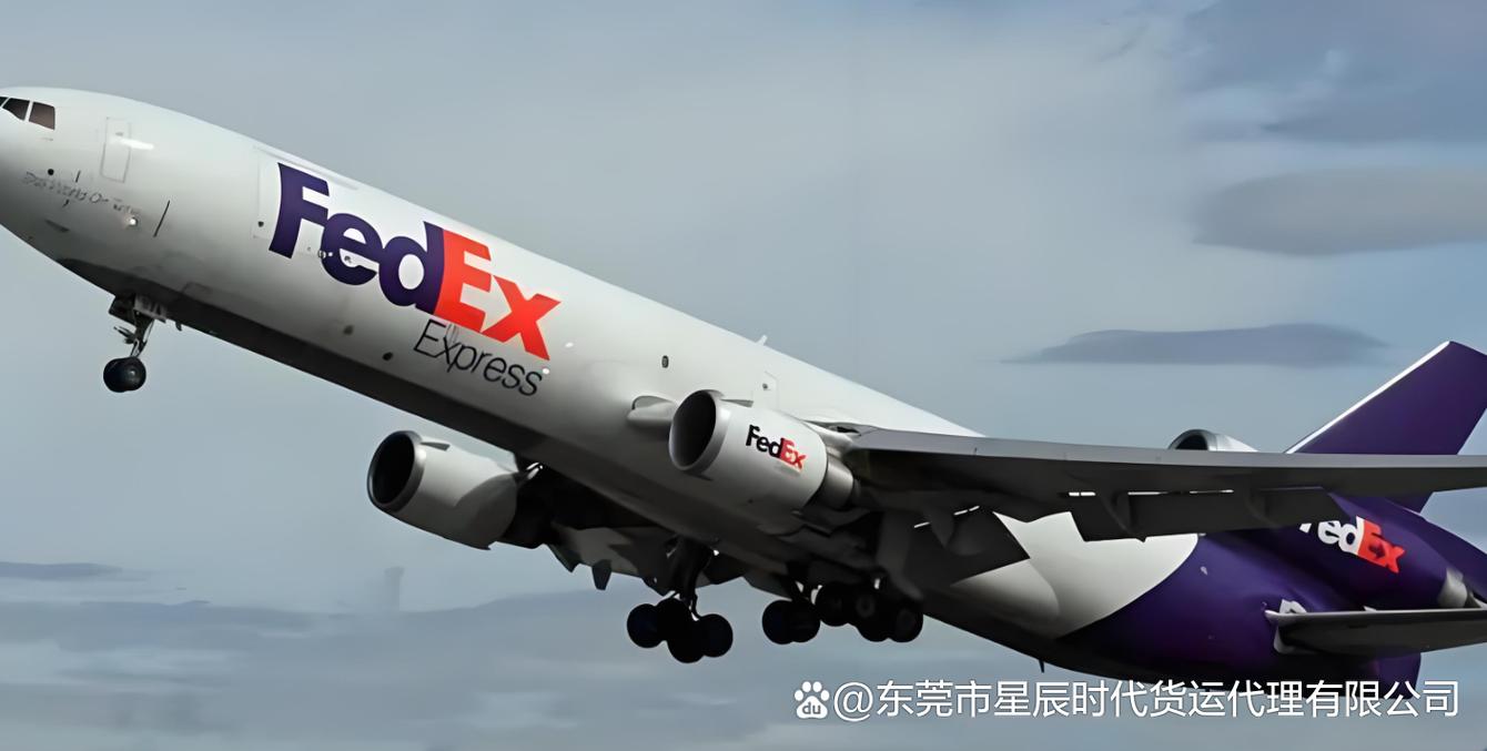 fedex国际物流