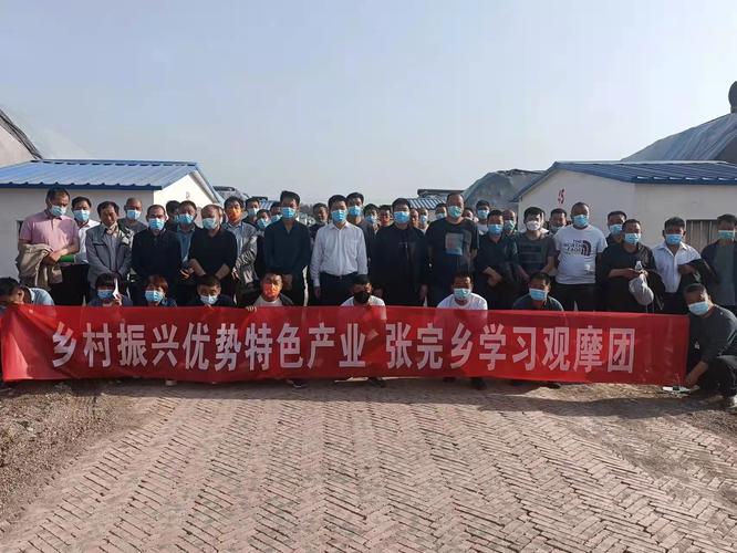 张完天天快递信息