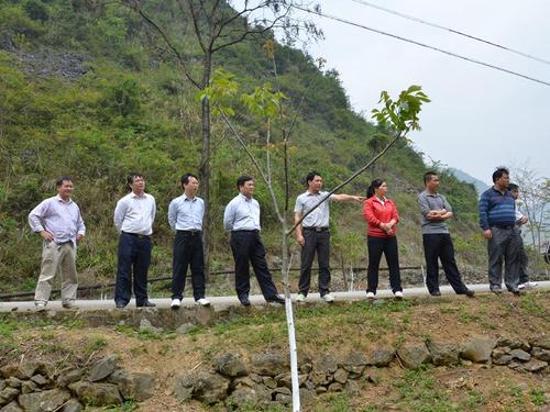 都安信息部的电话