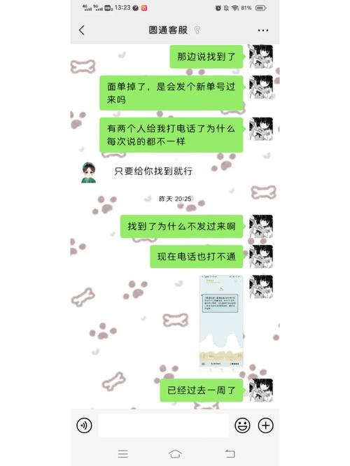 圆通上海信息查询