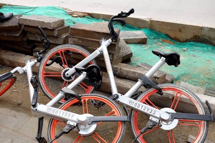 厦门金砖物流会停吗