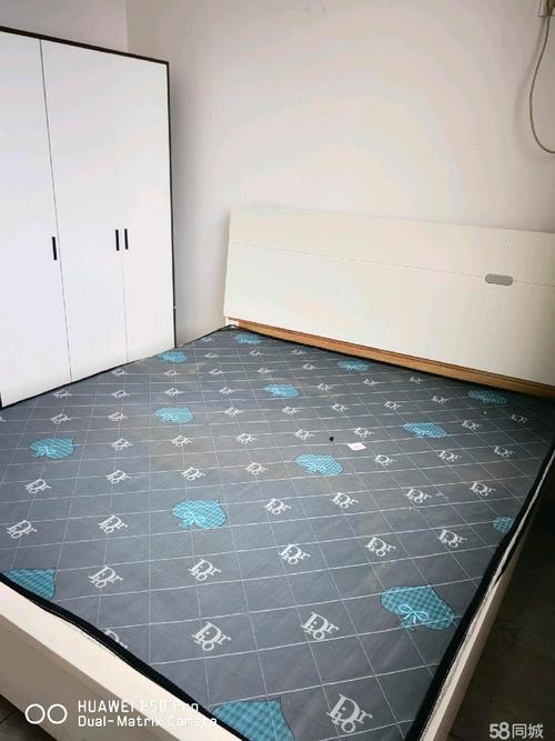 濮阳谢庄租房信息