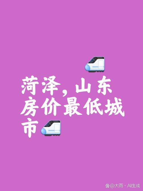 山东菏泽详细信息