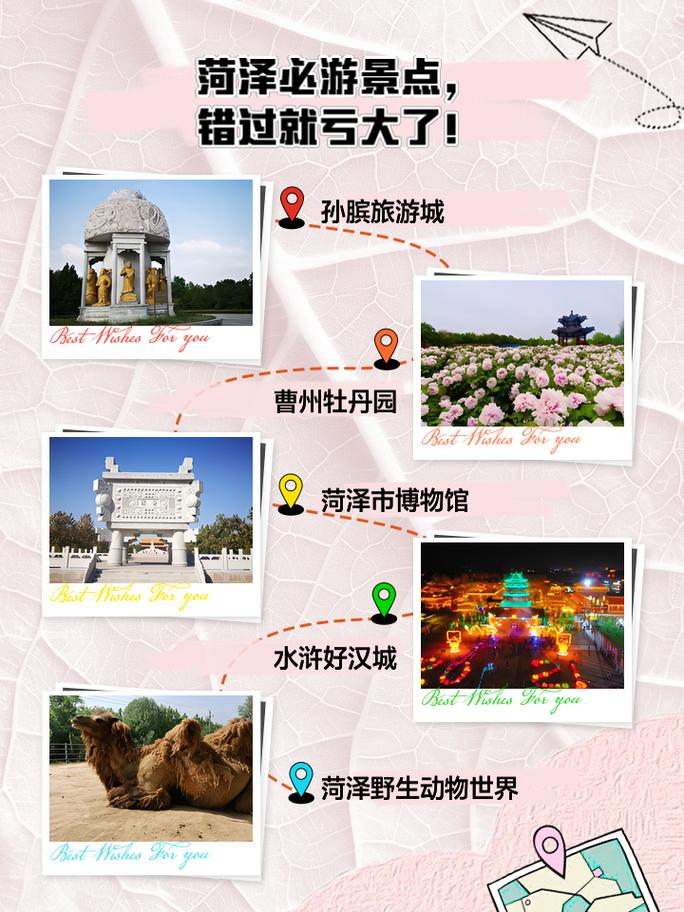 山东菏泽详细信息