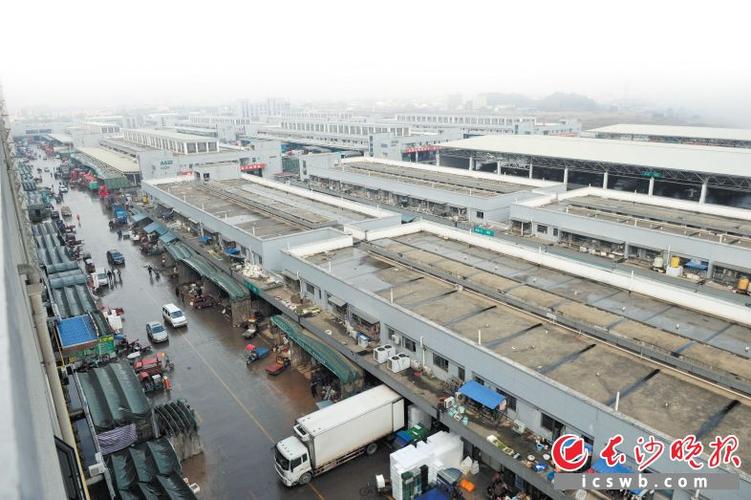 长沙中南物流园地址