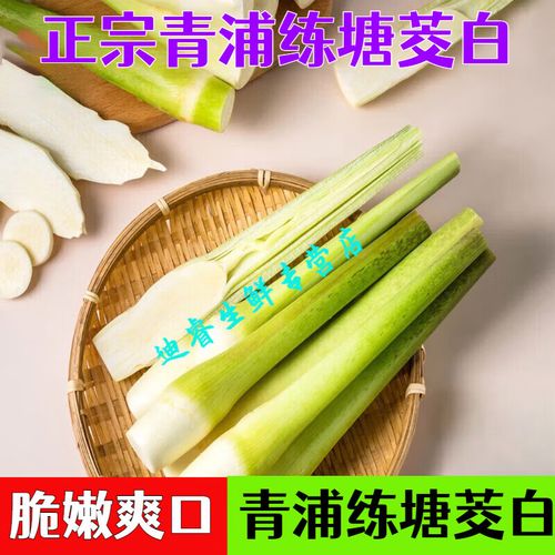 青浦练塘物流信息