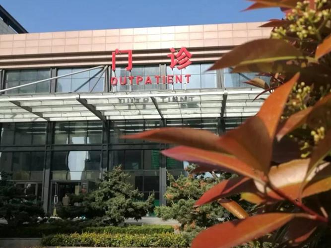 平度信息查询电话