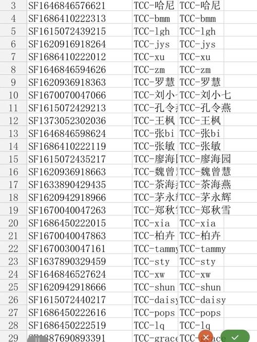 星宇物流运单号查询