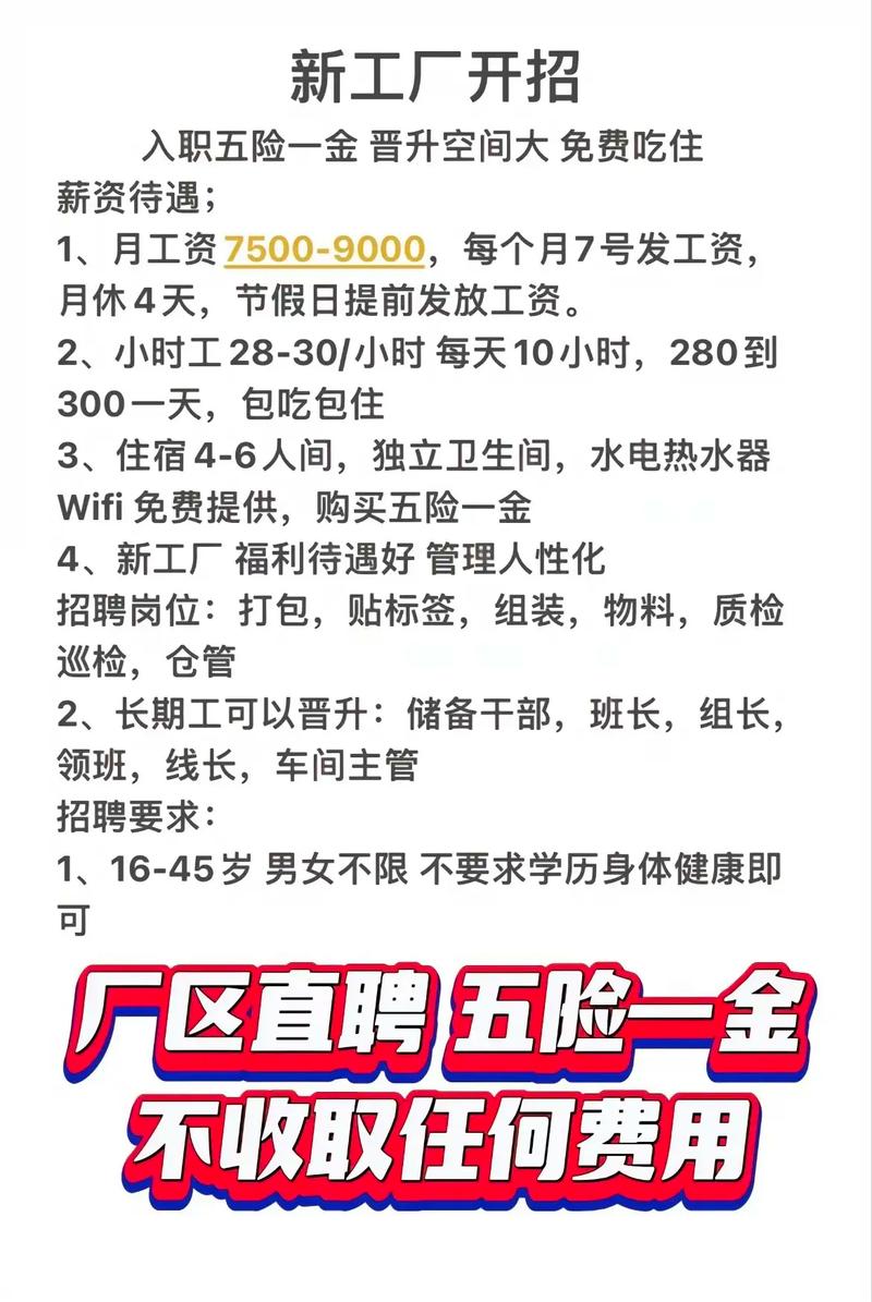银川全峰招聘信息