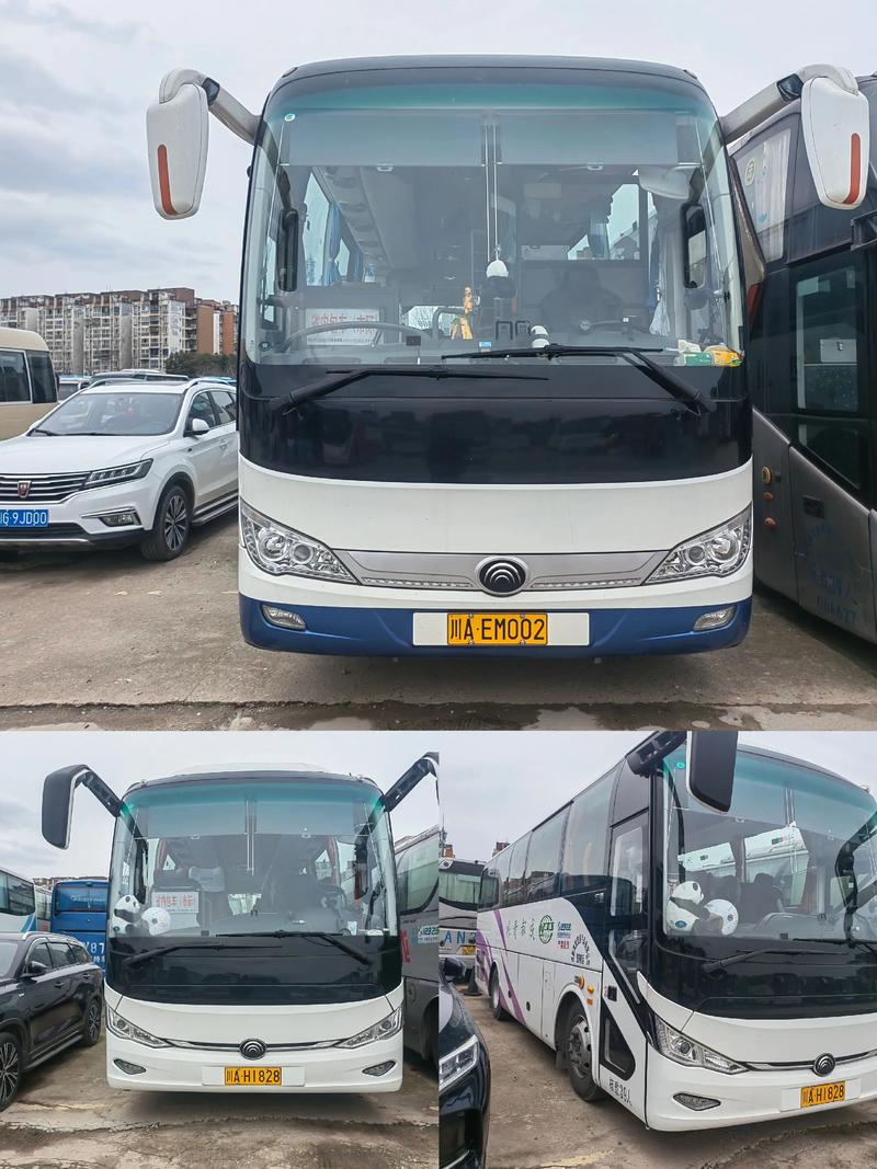 成都巴运物流信息