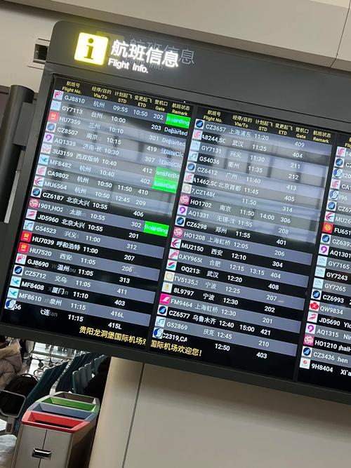 提单查询航班信息