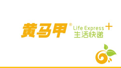 延吉黄马甲快递电话