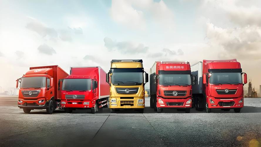 d速物流是什么快递