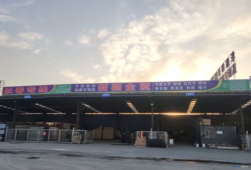 沈阳大的物流公司