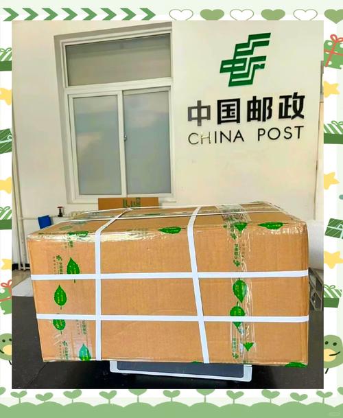 邮政快递包裹给送吗