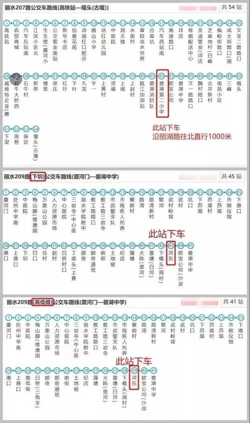 丽水信息查询电话