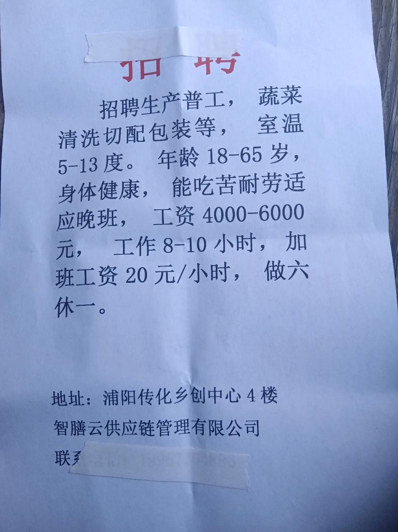 莱阳大柴招工信息