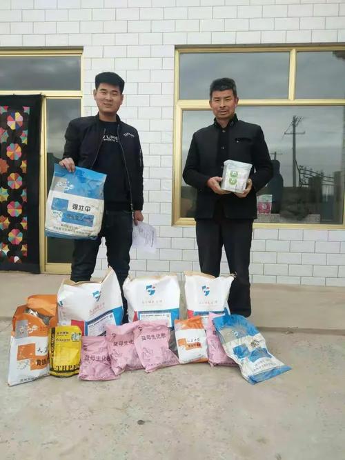 定边信息信部电话