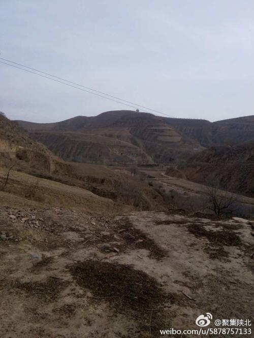 定边信息信部电话