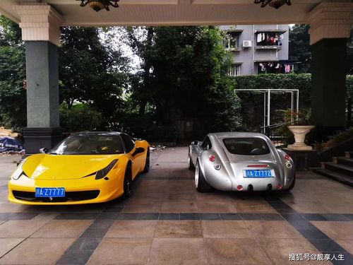 寿光靓号转让信息