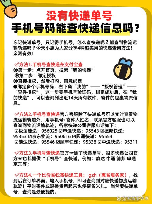 包裹能看什么信息