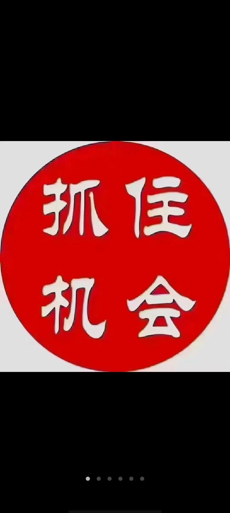 什么快递可以寄兔子