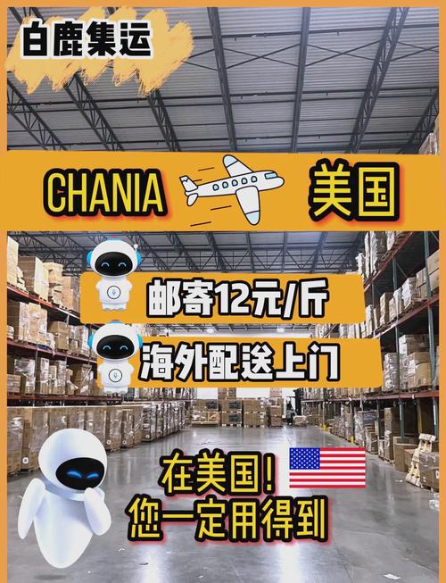 寄到美国用什么快递