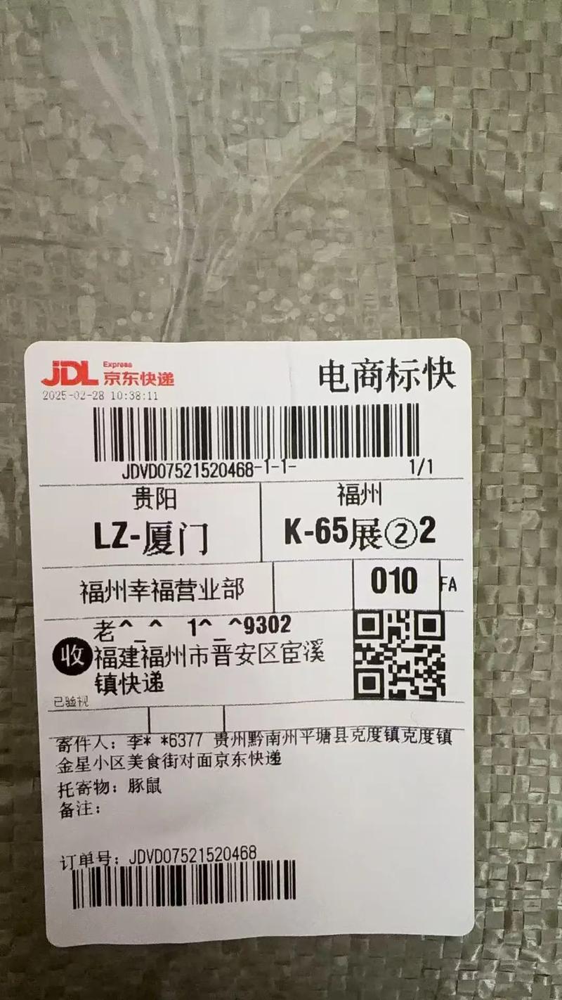 荷兰快递物流信息