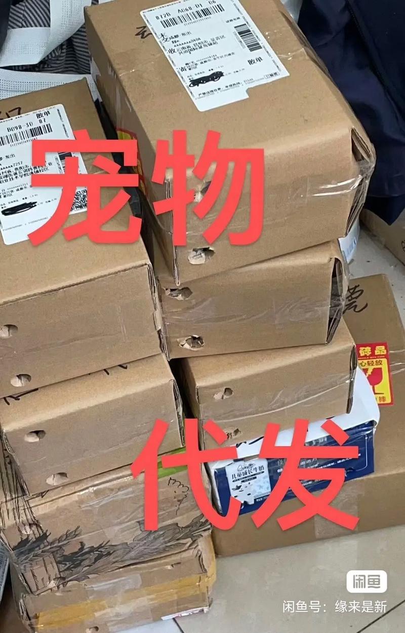 快递代发是什么意思